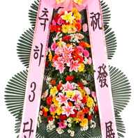 축하3단 일반형