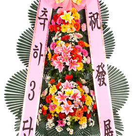 축하3단 일반형