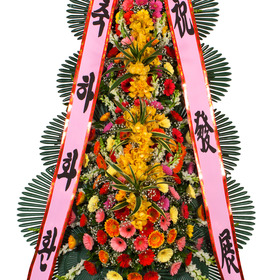 축하4단 최고급형