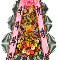 축하3단 고급형